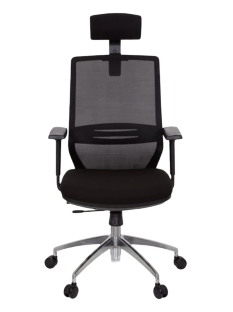 Fauteuil de direction Profondo Pro